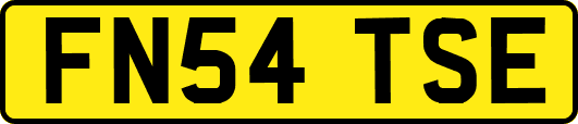 FN54TSE