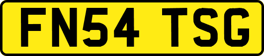 FN54TSG