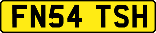 FN54TSH