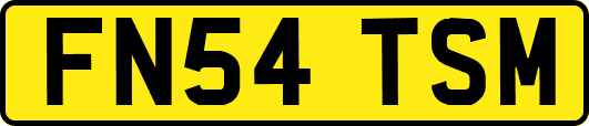 FN54TSM
