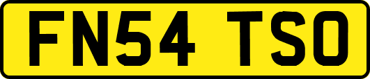 FN54TSO