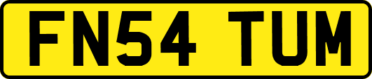FN54TUM