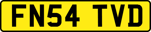 FN54TVD