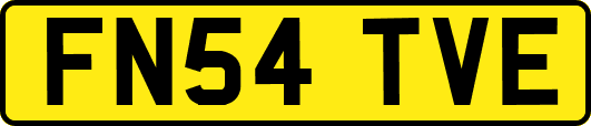 FN54TVE