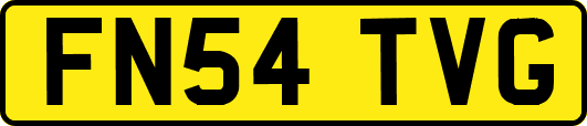 FN54TVG