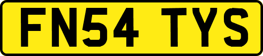 FN54TYS