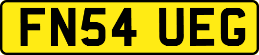 FN54UEG