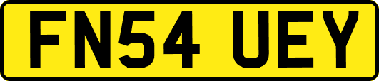 FN54UEY