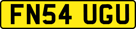 FN54UGU