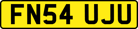 FN54UJU