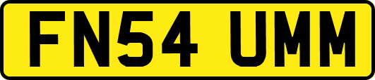 FN54UMM