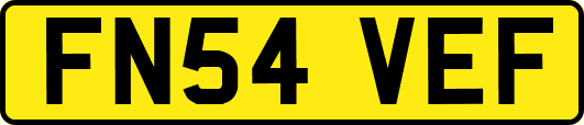 FN54VEF
