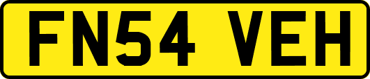 FN54VEH