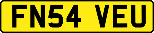 FN54VEU