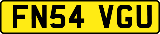 FN54VGU