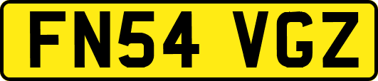 FN54VGZ