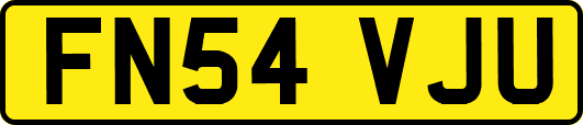 FN54VJU