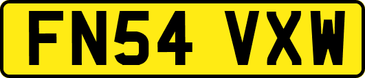 FN54VXW