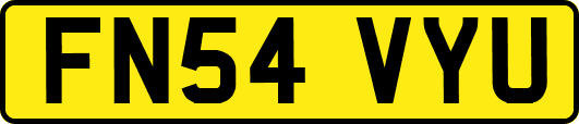 FN54VYU