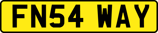 FN54WAY