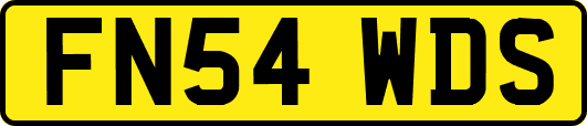 FN54WDS