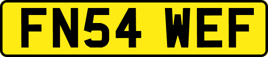 FN54WEF