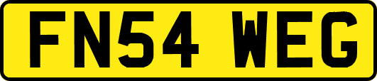 FN54WEG