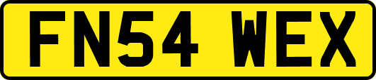 FN54WEX