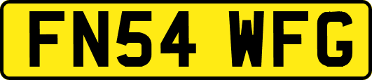 FN54WFG