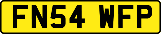 FN54WFP