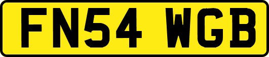 FN54WGB