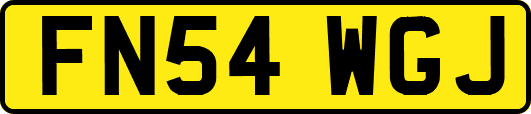 FN54WGJ