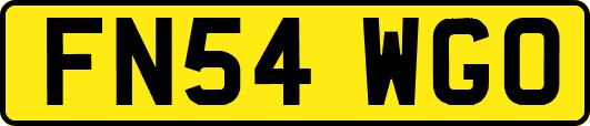 FN54WGO