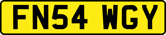 FN54WGY
