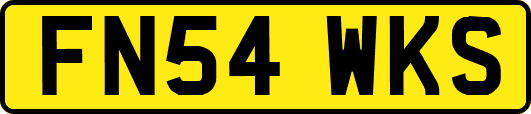 FN54WKS