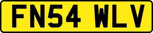 FN54WLV