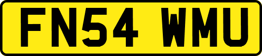 FN54WMU
