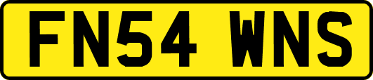 FN54WNS