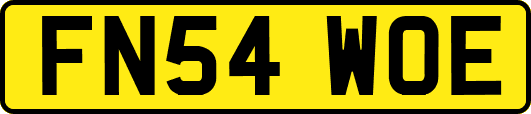 FN54WOE