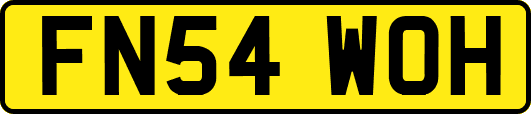 FN54WOH