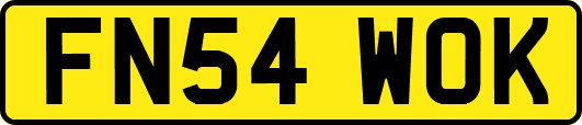 FN54WOK