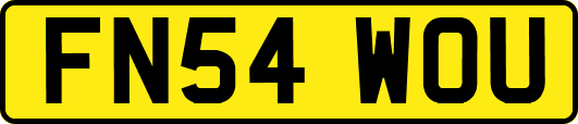 FN54WOU