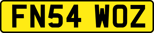 FN54WOZ