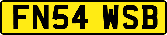 FN54WSB