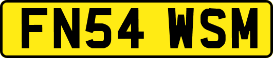 FN54WSM