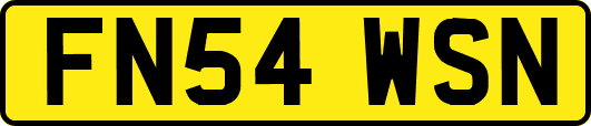 FN54WSN