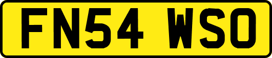 FN54WSO