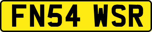 FN54WSR