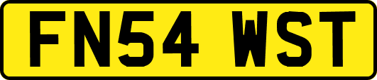 FN54WST