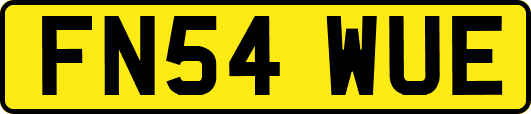 FN54WUE